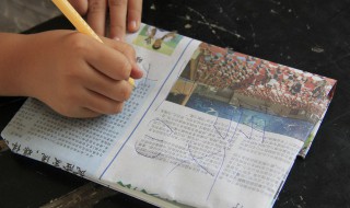 ipqc是什么意思 ipqc具体是什么意思