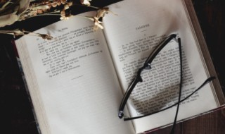 popular什么意思中文 popular的中文翻译