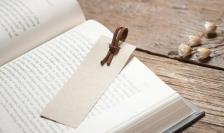 never是什么意思中文 单词never什么意思