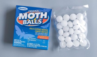 樟脑丸能杀蟑螂吗 樟脑丸作用