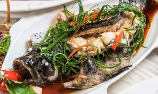 清蒸石斑鱼的正宗做法 清蒸石斑鱼做法