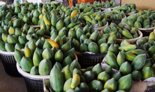 木爪如何存放 如何存放木爪