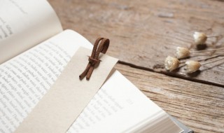 头铁是什么意思 头铁的意思