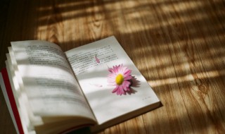 我宁自损一千也要换你八百什么意思 我宁自损一千也要换你八百的含义