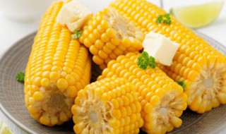 玉米的寓意和象征是什么 玉米的寓意和象征