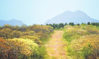 人间四月天是什么意思 人间四月天的含义