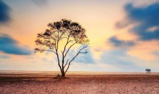 人生的意义是 人生的意义是什么