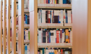 如花美眷终不过似水流年的意思始终不明白这话的真正含义 如花美眷终不过似水流年内涵