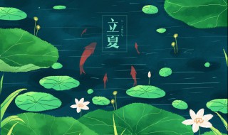 二十四节气的各个名称有什么含义 二十四节气的各个名称的含义