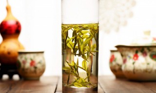 喝白茶拉肚子怎么回事 喝白茶拉肚子是怎么回事