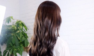 茶叶染发的方法 关于茶叶染发的方法