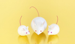 老鼠讨厌花露水味道吗 老鼠怕花露水味道吗