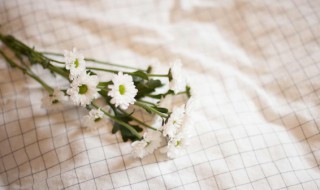 实木桌子黏糊糊的怎么清理 实木桌子黏糊糊的如果清理