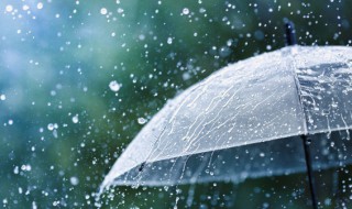 降雨量500mm是什么概念 降雨量500mm的解释