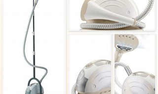 挂烫机水箱长绿毛怎么清理 挂烫机水箱长绿毛怎么回事