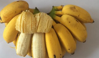 苹果蕉怎么储存比较新鲜 苹果蕉如何储存比较新鲜