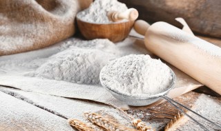 面粉发霉了怎么利用 面粉发霉了的妙用