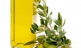 橄榄油怎么护发好 橄榄油护发的正确步骤