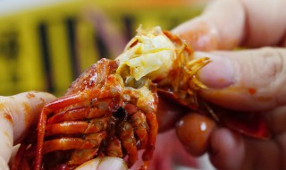 小龙虾剪了头怎么不让黄出来 小龙虾剪了头如何不让黄出来