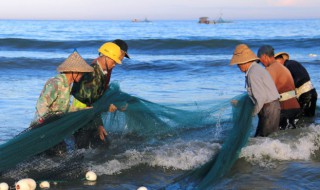 青海湖鱼种类 介绍青海湖鱼的种类