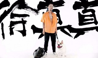 当妮走了歌词 他们所有的故事 都在这首歌里