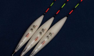 海钓鱼漂的选择 海钓选漂的2个技巧