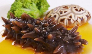 怎么发海参最佳方法 吃货动手手册