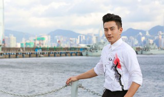 松平是什么电视剧 简单介绍一下