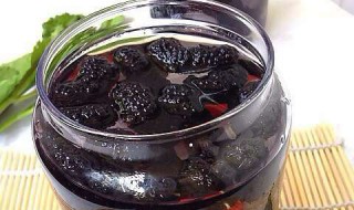 桑葚酒怎么泡制 教你做超简单的桑葚酒