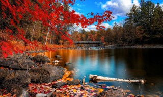 英山最好赏红叶时间 金秋十月一起去英山赏红叶