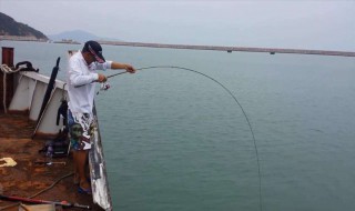海钓用什么竿子? 都有什么类型的