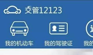 交管12123怎么选牌照 方法其实很简单