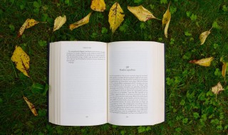 ear英语怎么读 你学会了吗