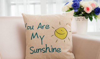 宽边抱枕怎么做 自制抱枕方法