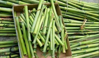 芦稷怎么保存 怎么保存芦稷