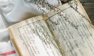 亡羊补牢体现了古人朴素的安全意识其中亡的意思是 亡羊补牢中亡的意思解析