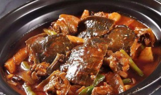 甲鱼怎么烧 红烧甲鱼怎么做美味