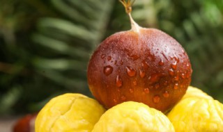 板栗不适合什么人吃 不能吃板栗的人有哪些