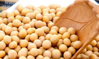 如何做麻辣黄豆 怎么做麻辣黄豆美味可口