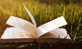 文案爱情表白说说 朋友圈情话文案精选