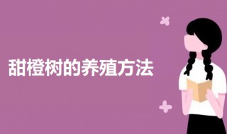 甜橙树的养殖方法 甜橙树怎么养