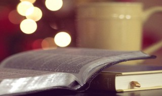 勤能补拙什么意思 勤能补拙解释