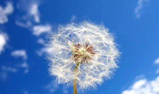 泽的寓意代表什么意思 泽的寓意