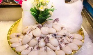 吃墨鱼有什么好处 吃墨鱼有什么禁忌