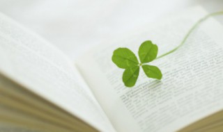 形容大风的短句 描写大风的经典句子