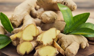 生姜应该怎么保存 生姜的保存方法