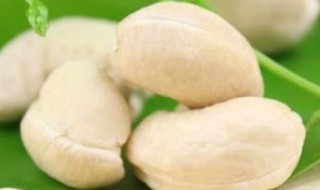 生腰果怎么保存 生腰果的保存方法