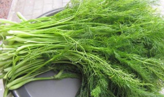 茴香蛋炒饭窍门 制作茴香蛋炒饭的方法