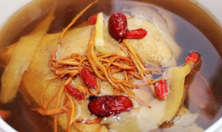 虫草煲鸡汤窍门 虫草煲鸡汤的做法