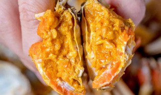 怎么做蟹黄不流 选螃蟹是关键